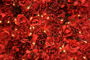 Red Roses Lights7378914841 300x200 - Red Roses Lights - Roses, Lilac, Lights